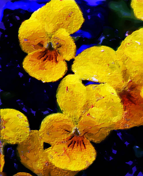 Impressionist fleurs pansy - Photo