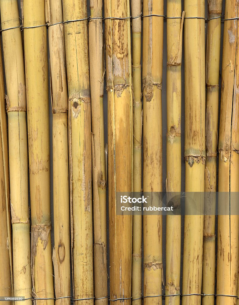 Grande Colar de Bambu - Royalty-free Amarrado Foto de stock