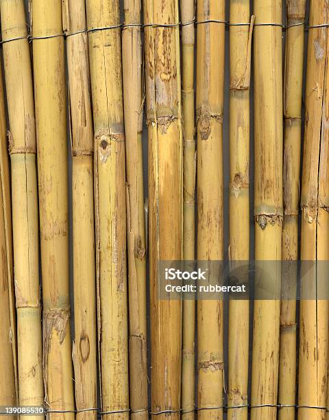 Grande Colar De Bambu - Fotografias de stock e mais imagens de Amarrado - Amarrado, Ao Ar Livre, Arame