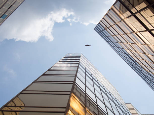 istock Low Angle View of Skyscrapers in Hong Kong 1390855413