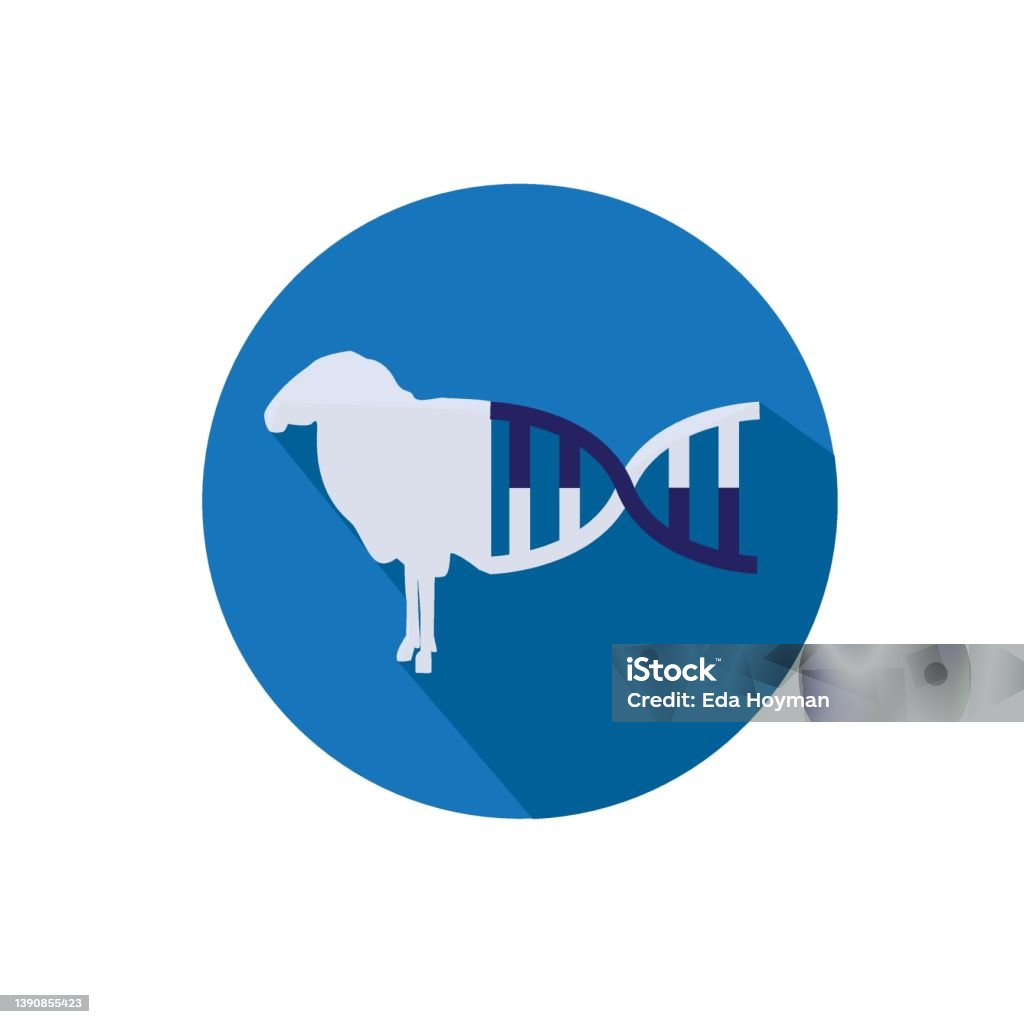 Cloning Animals Producing Superior Farm Animal Genetics Stock Illustration  - Download Image Now - iStock