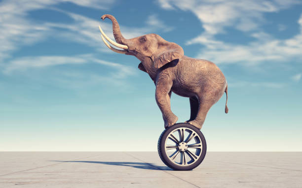 istock Elephant dance on wheel. Horse power and speed concept. T 1390855632