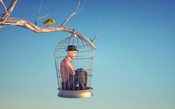 homme à l’intérieur d’une cage à oiseaux dans un arbre. - bird brain photos et images de collection