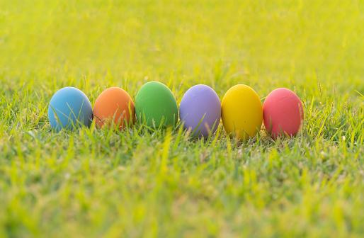 Colorful easter eggs on natural green grass background. Food decoration on holiday.