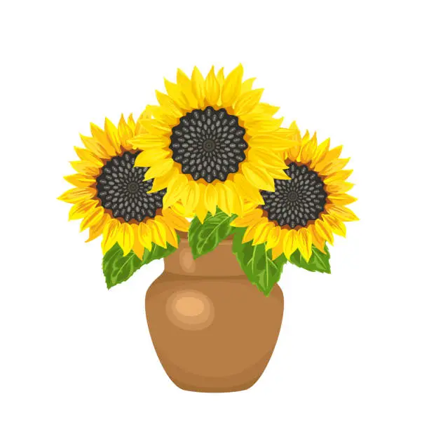 Vector illustration of Yellow sunflowers in brown vase isolated on white background. Vector floral illustration in cartoon flat style.