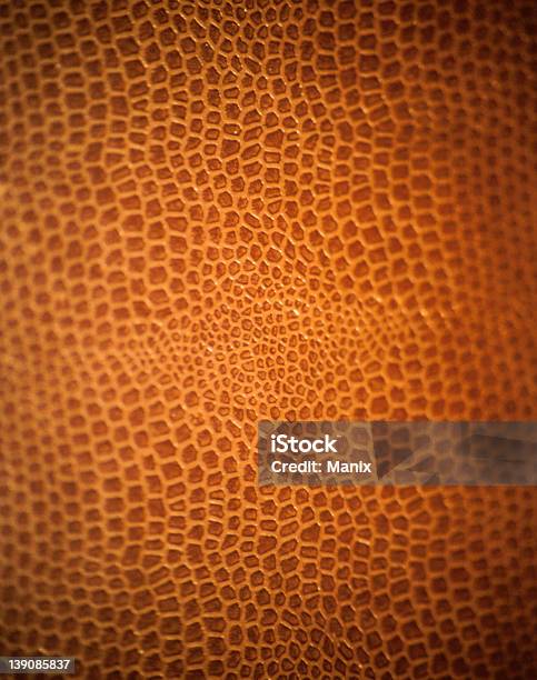 Snakeskin Stock Photo - Download Image Now - Animal, Animal Body Part, Animal Markings