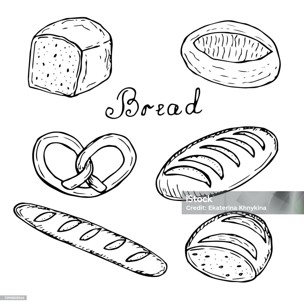 Set Roti Ilustrasi Vektor Set Roti Sketsa Gambar Tangan Ilustrasi Stok - Unduh ...