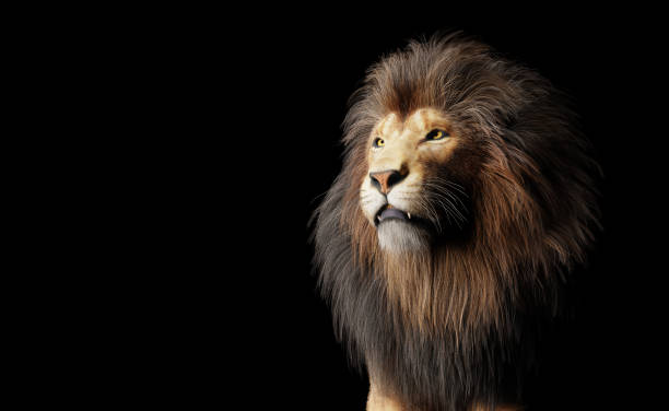 istock Lion portrait on black 1390859958