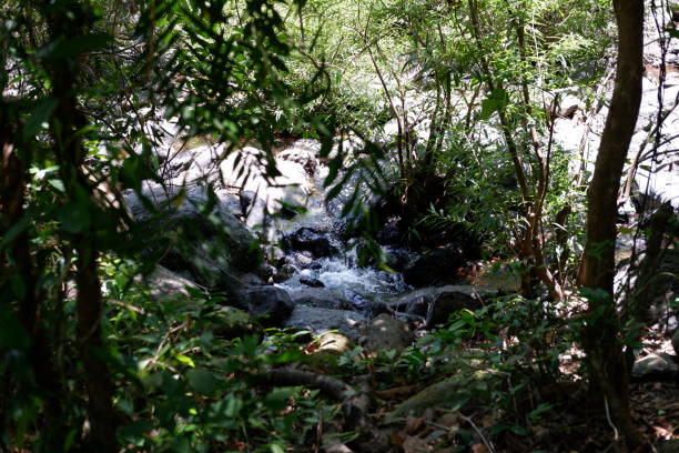 istock Nang Rong Waterfall, Nakhon Nayok district 1390862520
