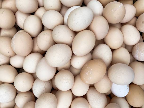 istock Close up of white eggs in a white bowl 1390863963