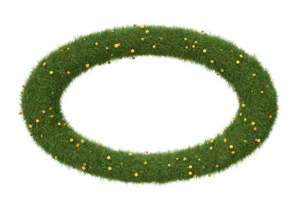 istock Ellipse shape frame made of grass and dandelions, isolated on white. 1390864006