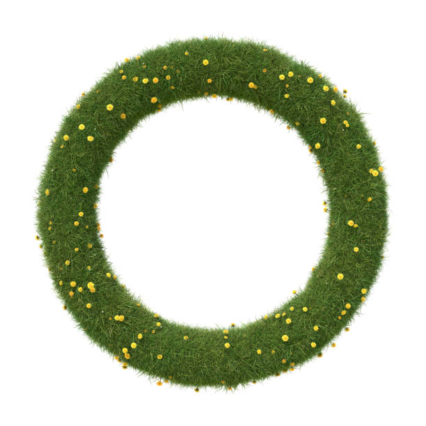 istock Circle shape frame made of grass and dandelions, isolated on white. 1390864032
