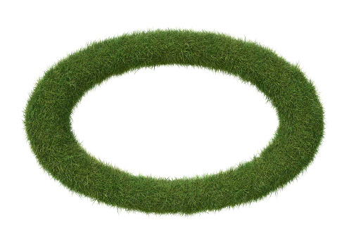 Ellipse shape frame made of grass, isolated on white. 3D image