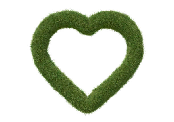 istock Heart shape frame made of grass, isolated on white. 1390864071