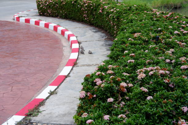 istock Zebra Doves walking on the path walk beside pink Ixora, West Indian Jasmine flower 1390866603