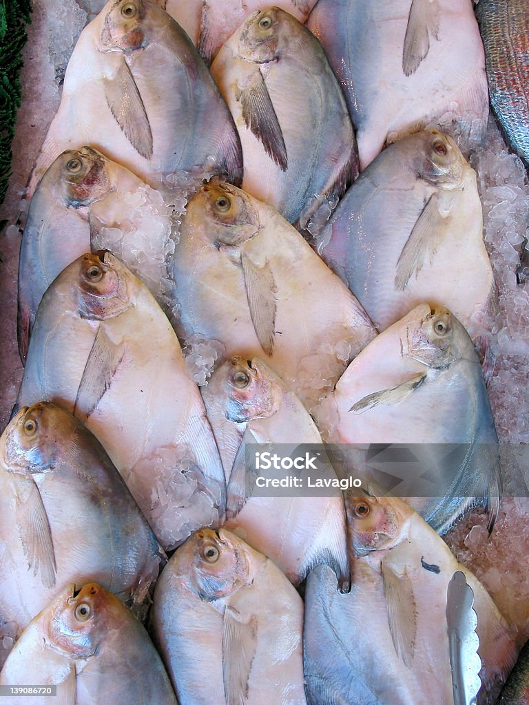 Exibição de peixe - Foto de stock de Bairro chinês royalty-free