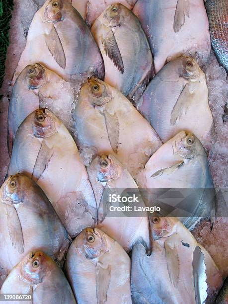 Foto de Exibição De Peixe e mais fotos de stock de Bairro chinês - Bairro chinês, Comida, Exotismo