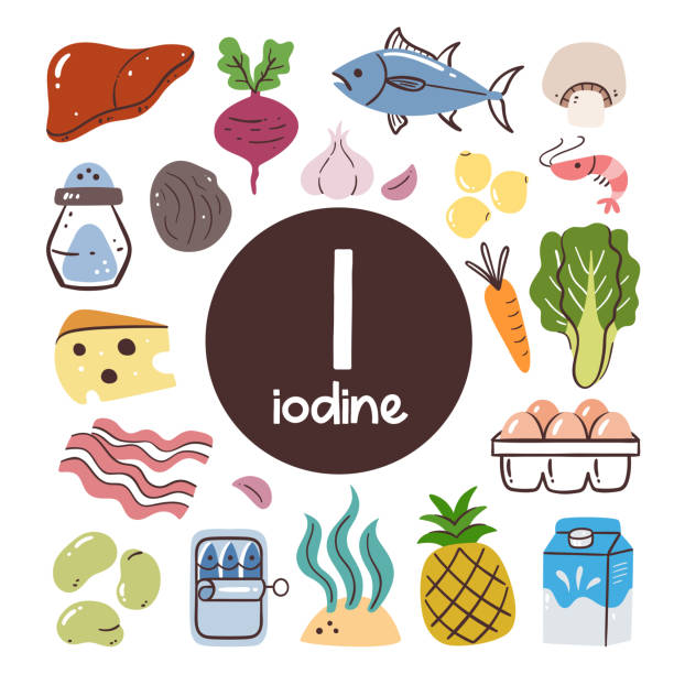 Iodine food ingredients icon set Food products with high level of Iodine. Cooking ingredients. Fruits, vegetables, legumes, dairy, meat, seafood. thyroid disease stock illustrations