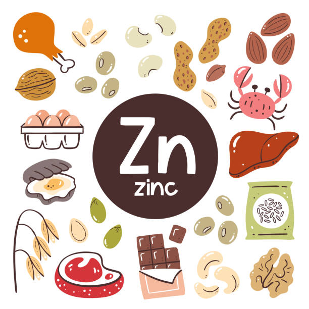 ilustraciones, imágenes clip art, dibujos animados e iconos de stock de conjunto de iconos de ingredientes alimentarios de zinc - zinc