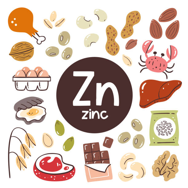 zestaw ikon składników żywności cynkowej - zinc stock illustrations