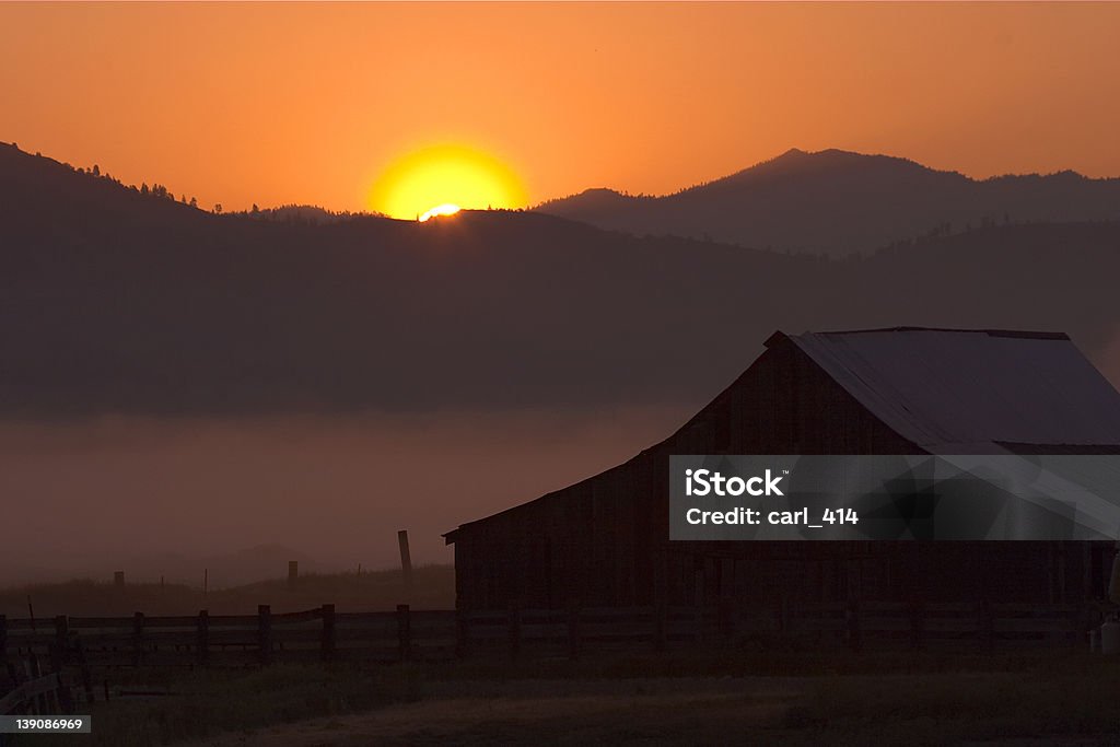 Ranch manhã - Foto de stock de Agricultura royalty-free