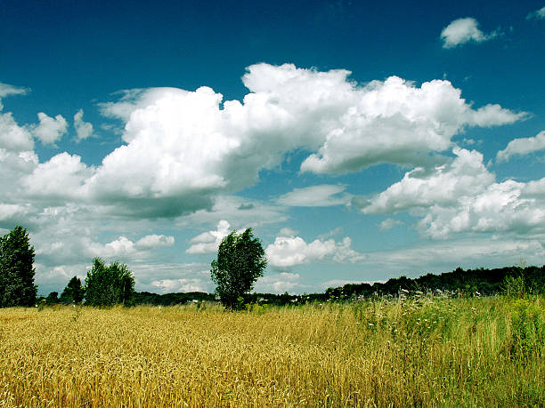 Cell of clouds above a wheat-field stock photo