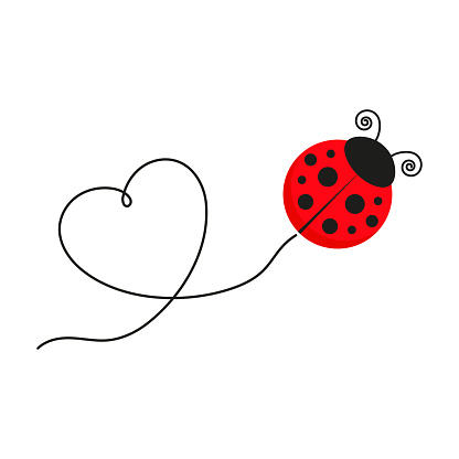 Ladybug with heart shape line. Cute ladybird with line route. Vector illustration isolated on white.