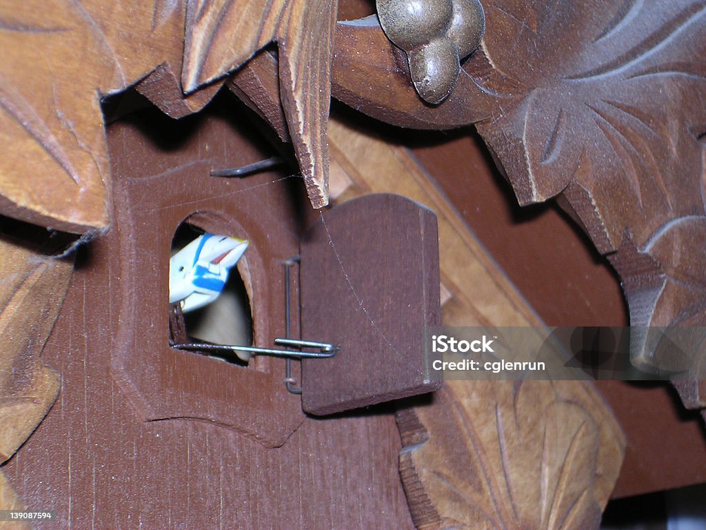 Cleaning at the Cuckoo House The wooden cuckoo on a cuckoo clock pokes his head out of the door only to discover a series of cobwebs dangling from the eaves. Bird Stock Photo