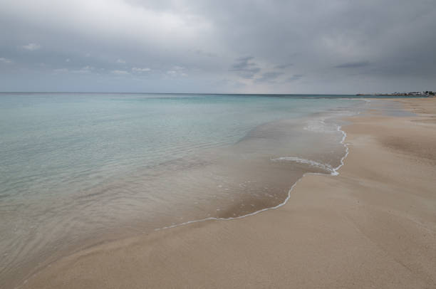 istock Empty tropical beach with golden sand in winter. Summer vacations resort. 1390876291
