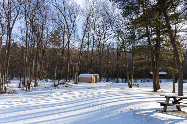 Winter landscape