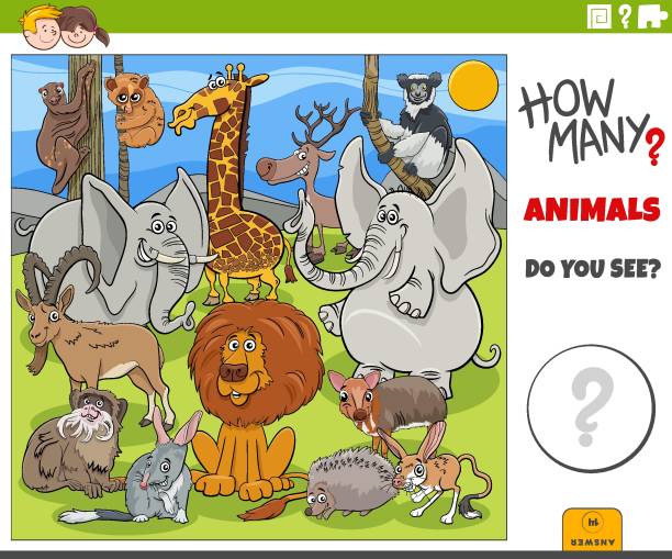 ilustrações, clipart, desenhos animados e ícones de quantos animais de desenho animado jogo educacional para crianças - bilby