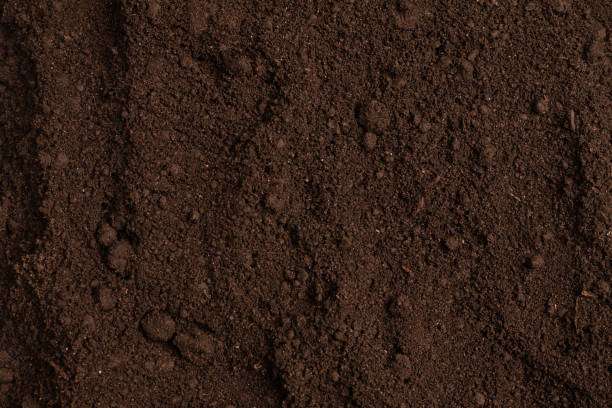 istock Black land for plant background. Top view. 1390879394