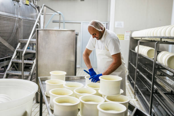 istock Cheese and airy product factory 1390883429