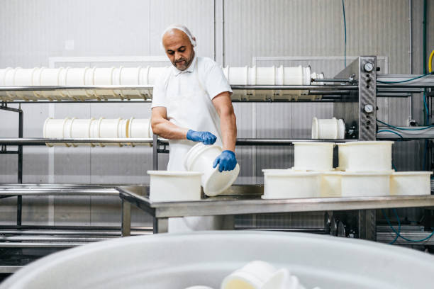 istock Cheese and airy product factory 1390883435