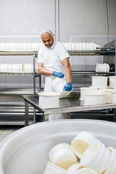 istock Cheese and airy product factory 1390883436