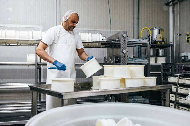 istock Cheese and airy product factory 1390884442