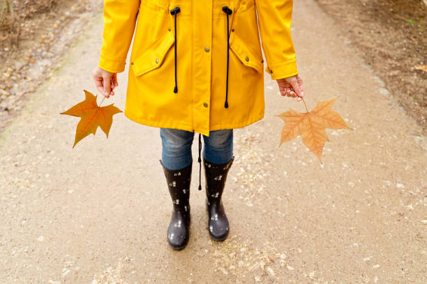 istock Top cropped view of unrecognizable woman holding maple tree leaves. 1390885540