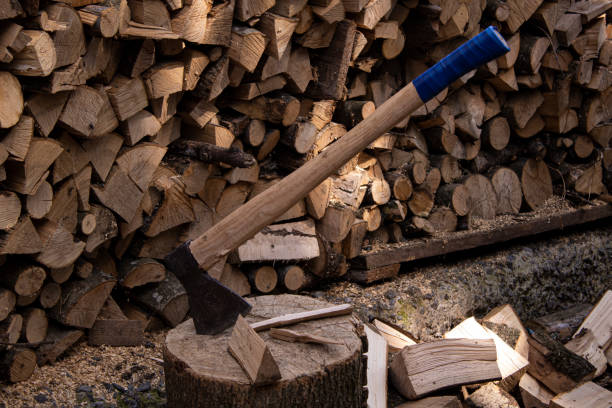 istock Ax with firewood stacked under the house 1390885745