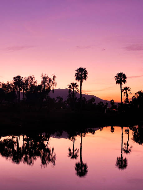 Desert Sunset Sunset over the Shadow Hills golf course in Indio, CA palm springs california stock pictures, royalty-free photos & images