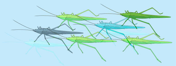 キリギリス、 - grasshopper locust giant grasshopper antler点のイラスト素材／クリップアート素材／マンガ素材／アイコン素材