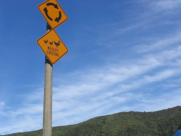 Señal de tráfico en Nueva Zelanda - foto de stock