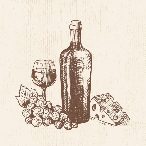ilustraciones, imágenes clip art, dibujos animados e iconos de stock de botella de vino dibujada a mano con una copa, racimo de uvas y trozo de queso. boceto vectorial, ilustración de alimentos orgánicos - cheese wine white background grape