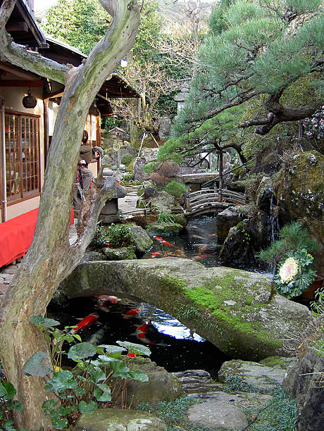 istock Japanese tea garden 139088841