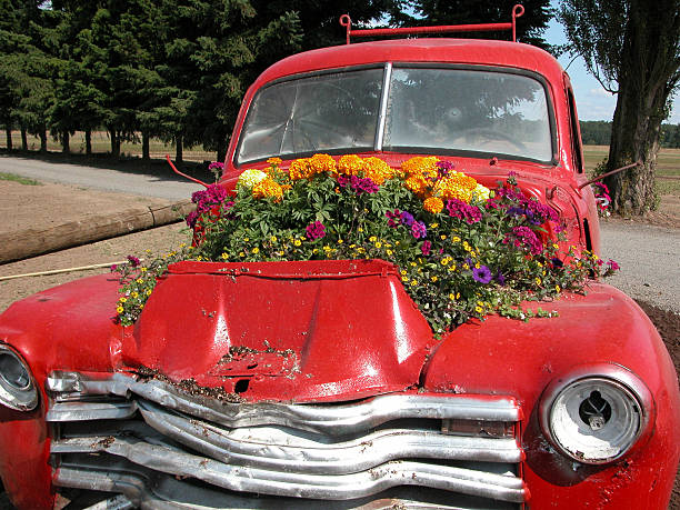 Red Pickup with Flowers stock photo