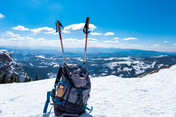 istock Backpack and Trekking Pole in winter mountains 1390889141