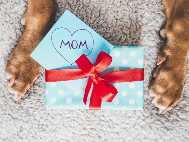 istock Lovable, adorable brown puppy and gift box 1390890377