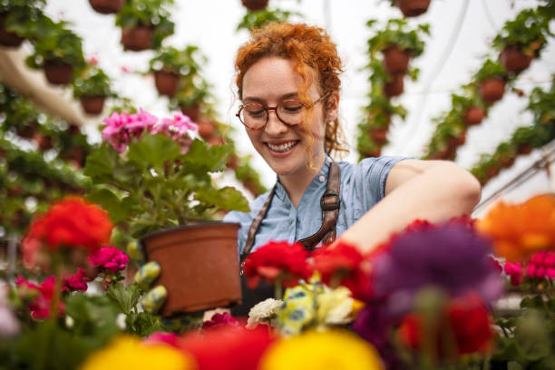 istock Florist working in a greenhouse 1390892273
