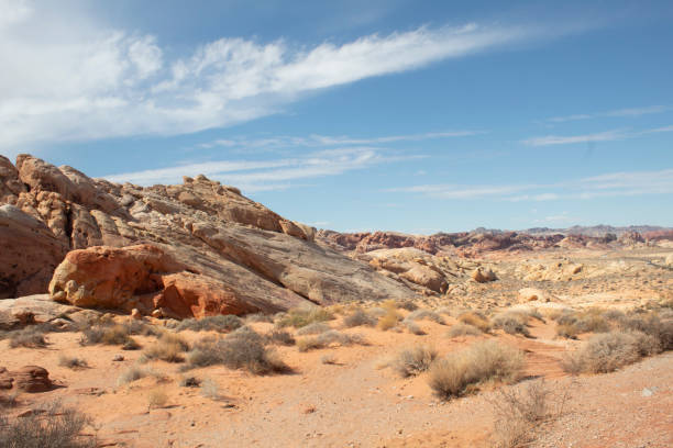 plaines rocheuses - desert photos et images de collection