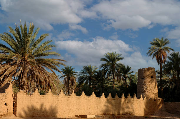istock Palm grove of  Figuig in south-eastern Morocco 1390895697