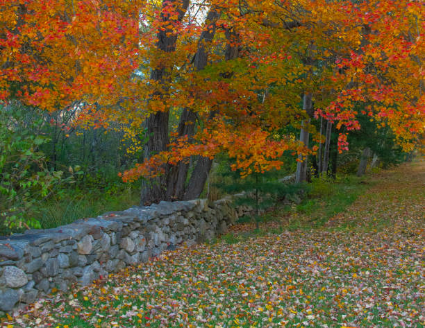 istock Old Stone wall with Fall leaf colors-Rural New Hampshire 1390898244